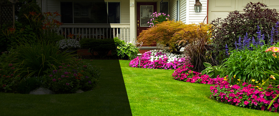 Norman Park Landscapers