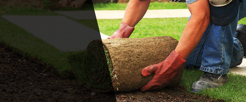 Norman Park Landscapers